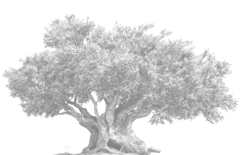 Invest GC | Anasayfa